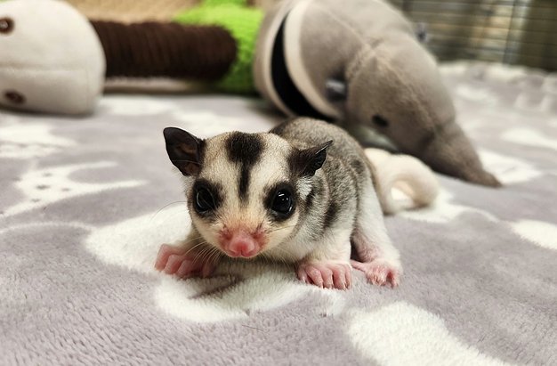 bbbb