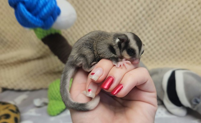 qqq